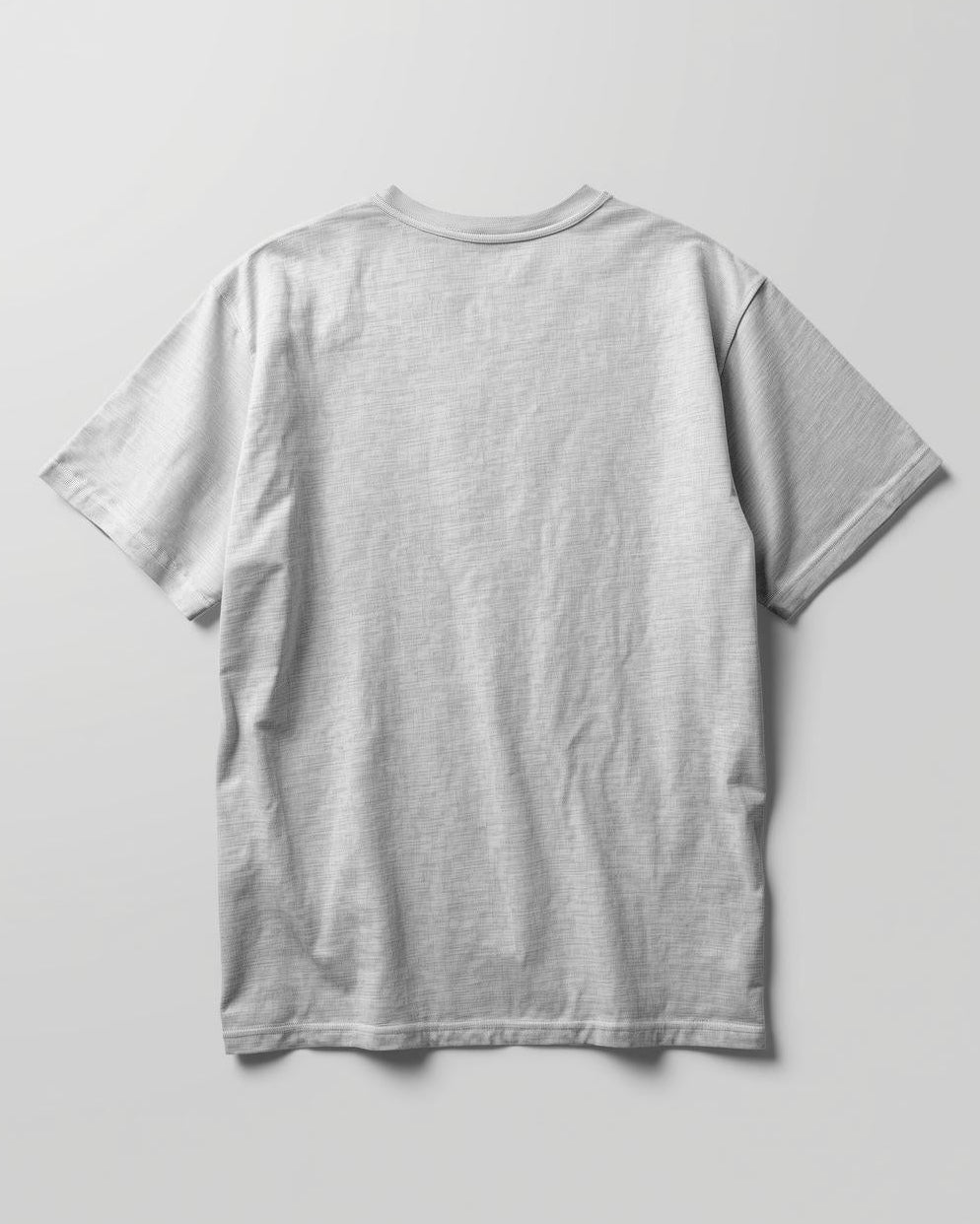 PROCEED WITH CAUTION Unisex Oversized Classic T-Shirt